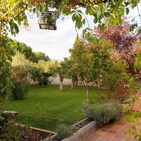 La Moderna La Parrilla (Castile and Leon)